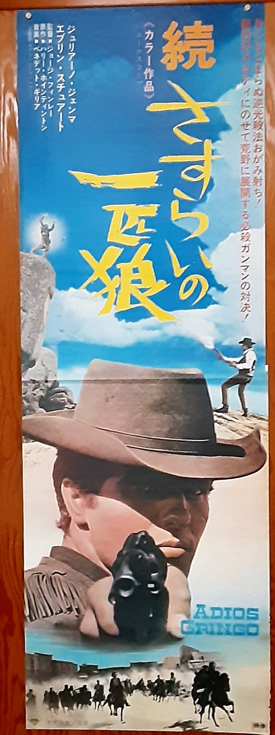 続さすらいの一匹狼 – 映画コレクション・しねとろ倶楽部