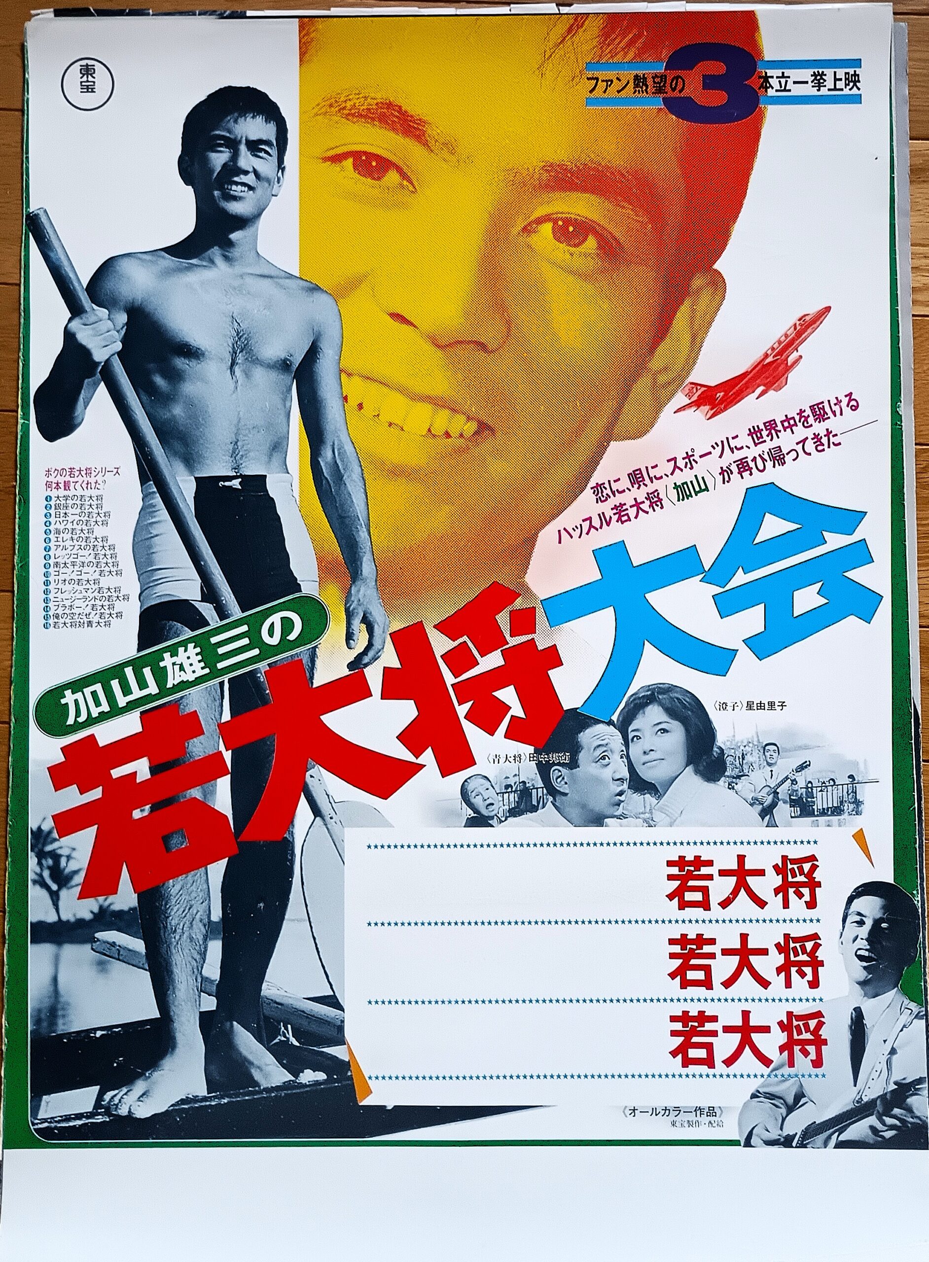 エレキの若大将 – 映画コレクション・しねとろ倶楽部