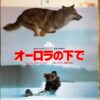 オーロラの下で - 画像 (2)