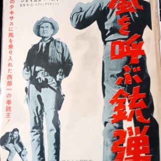 嵐を呼ぶ銃弾