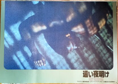 遠い夜明け - 画像 (4)
