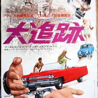大追跡
