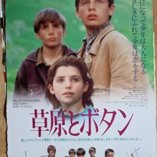 草原とボタン