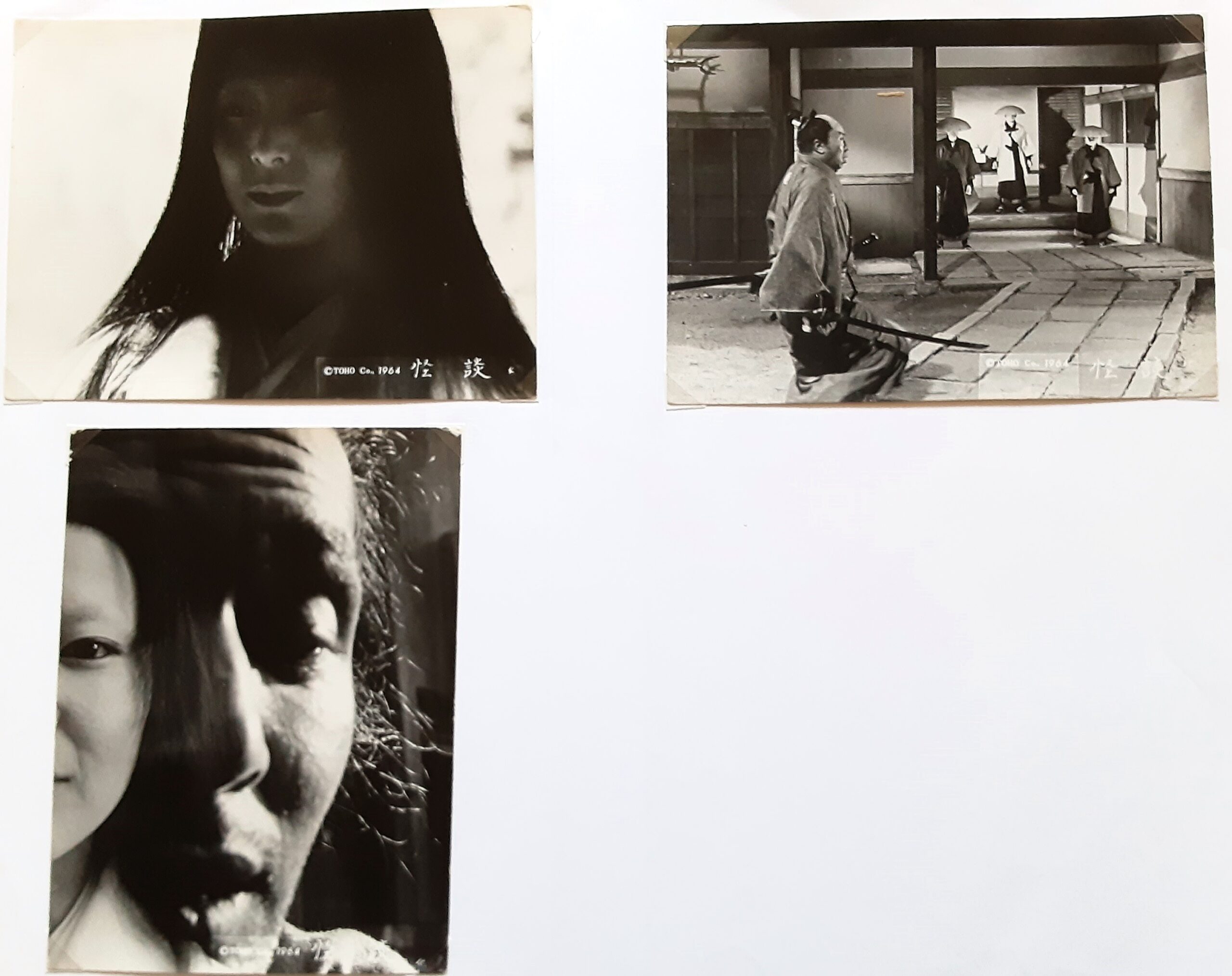 父をめぐる旅 異才の日本画家・中村正義の生涯 - 画像 (5)