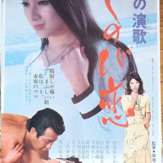 夜の演歌　しのび恋