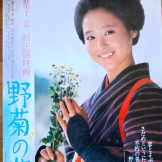 野菊の墓