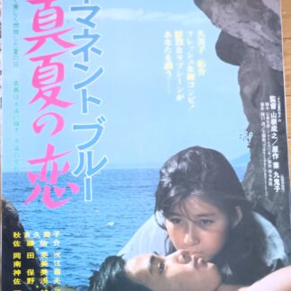 パーマネント・ブルー真夏の恋