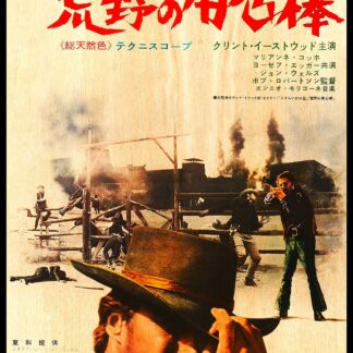 荒野の用心棒